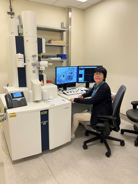 Yinru Sieracki working at the Electron Microscope.